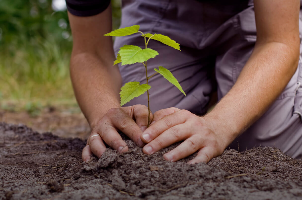 Shri Balaji Jan Kalyan Sewa Samiti