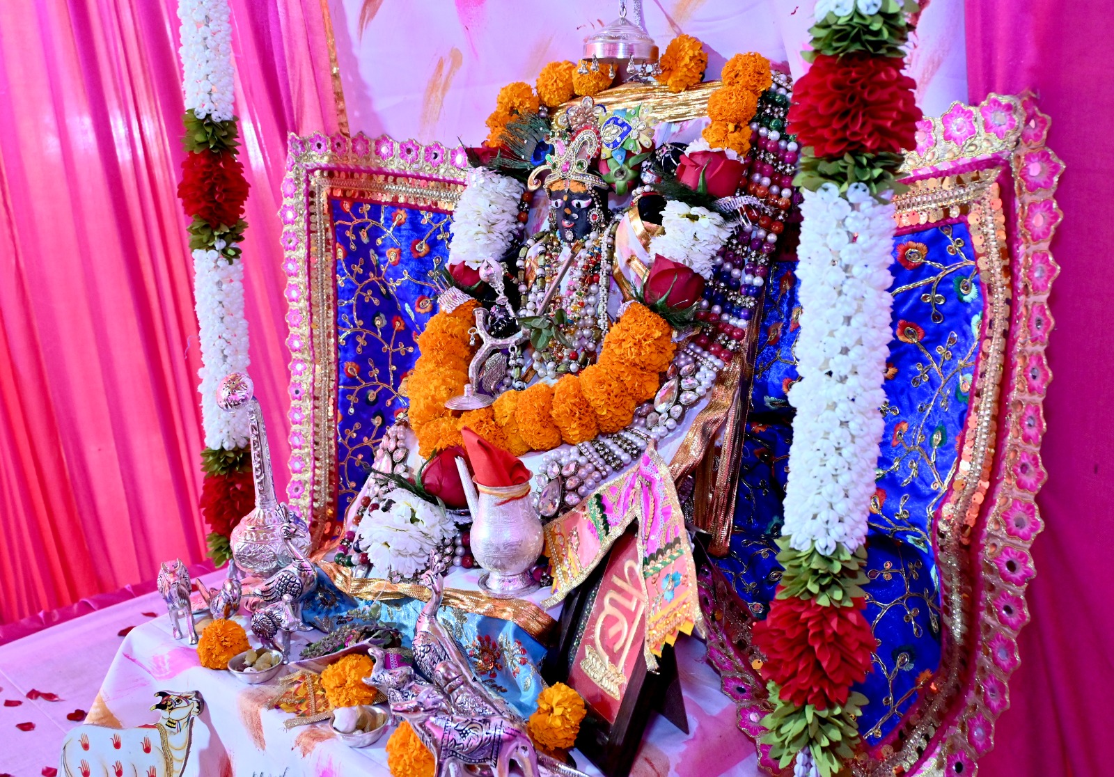 Grand event of Shrimad Bhagwat Katha